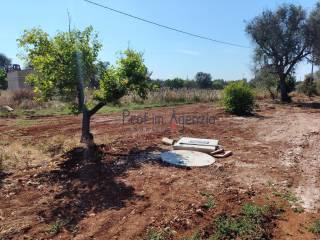 Villa unifamiliare, buono stato, 3995 m², San Vito dei Normanni — foto 12 di 22