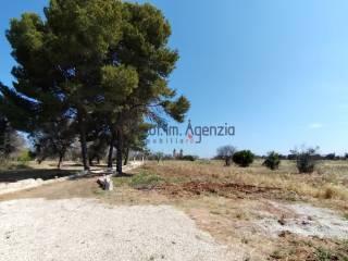 Villa unifamiliare, buono stato, 3995 m², San Vito dei Normanni — foto 11 di 22