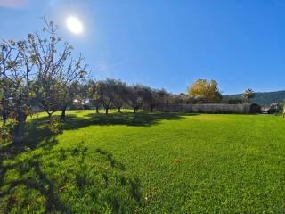 Villa unifamiliare via Forano 9, Ameglia — foto 10 di 75