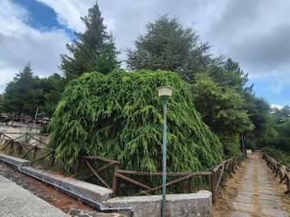 Appartamento via Santa Lucia, Cerri, Rocca di Cambio — foto 8 di 21