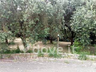 Villa unifamiliare Contrada la Franca snc, Francavilla Fontana — foto 7 di 17