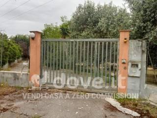 Villa unifamiliare Contrada la Franca snc, Francavilla Fontana — foto 16 di 17