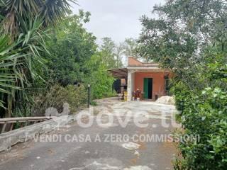 Villa unifamiliare Contrada la Franca snc, Francavilla Fontana — foto 17 di 17