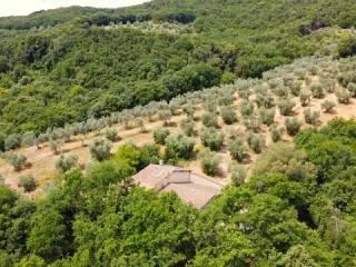 Rustico Montorsaio No Number, Campagnatico — foto 18 di 42
