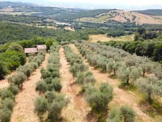 Rustico Montorsaio No Number, Campagnatico — foto 4 di 42