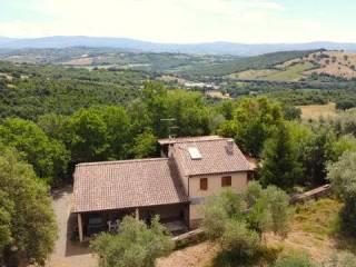Rustico Montorsaio No Number, Campagnatico — foto 12 di 42