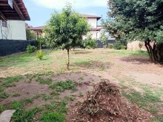 Terratetto unifamiliare 130 m², ottimo stato, Centro, Mortara — foto 7 di 56