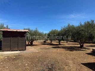 Villa unifamiliare Contrada Fraginesi, Castellammare del Golfo — foto 20 di 20