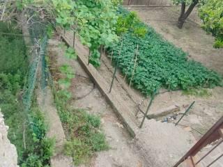 Terratetto plurifamiliare Patarriti, Motta San Giovanni — foto 14 di 53