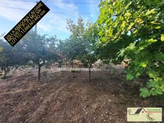 Villa unifamiliare via Scalo Caldare, Aragona — foto 24 di 32