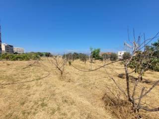 Appartamento via Sottolume 4/A, Pellaro, Reggio Calabria — foto 29 di 41