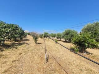 Appartamento via Sottolume 4/A, Pellaro, Reggio Calabria — foto 18 di 41