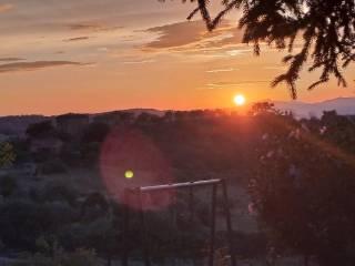 Terratetto unifamiliare via degli Orti 8, Centro, Cinigiano — foto 17 di 21