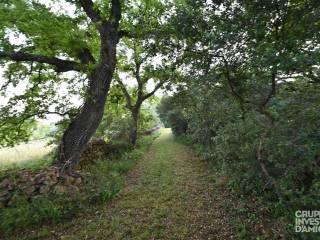 Rustico Contrada Tirunno, Cisternino — foto 2 di 17