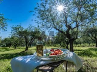 Terratetto unifamiliare 258 m², buono stato, Santa Cristina, Rimini — foto 2 di 39