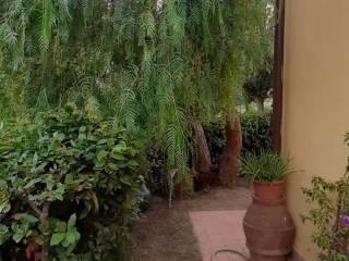Villa unifamiliare via delle Capanne, Castelnuovo della Misericordia, Gabbro, Rosignano Marittimo — foto 5 di 10