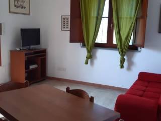 Villa unifamiliare via delle Capanne, Castelnuovo della Misericordia, Gabbro, Rosignano Marittimo — foto 4 di 10
