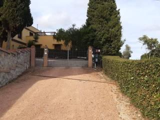 Villa unifamiliare via delle Capanne, Castelnuovo della Misericordia, Gabbro, Rosignano Marittimo — foto 8 di 10
