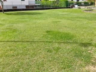 Villa unifamiliare via Gioacchino Rossini, Centro, Brebbia — foto 26 di 48