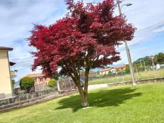 Villa unifamiliare via Gioacchino Rossini, Centro, Brebbia — foto 18 di 48