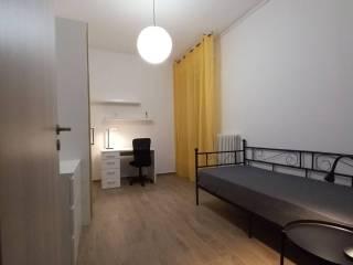 Stanza singola via Carlo Cignani 40, Forlì — foto 3 di 8