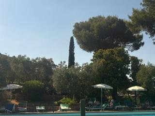 Appartamento buono stato, piano terra, Porto Santo Stefano, Monte Argentario — foto 16 di 22