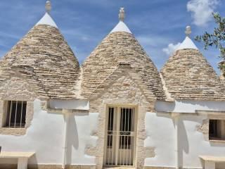Villa unifamiliare Strada Alberobello zona D 17, Martina Franca — foto 50 di 53