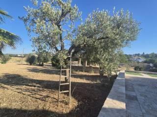 Villa unifamiliare Strada Alberobello zona D 17, Martina Franca — foto 20 di 53
