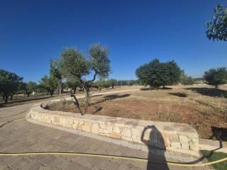 Villa unifamiliare Strada Alberobello zona D 17, Martina Franca — foto 19 di 53