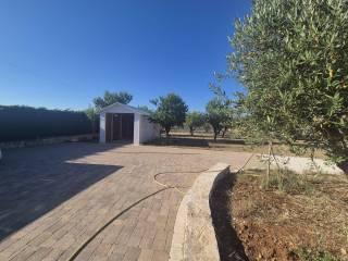 Villa unifamiliare Strada Alberobello zona D 17, Martina Franca — foto 30 di 53