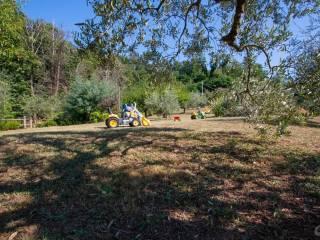Villa unifamiliare via Cerretta Alta, Vezzano Ligure — foto 19 di 56
