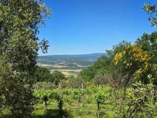 Casale, ottimo stato, 360 m², Castel Viscardo
