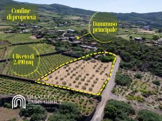 Villa unifamiliare via Cafaro 5, Bugeber, Pantelleria — foto 13 di 24