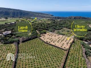 Villa unifamiliare via Cafaro 5, Bugeber, Pantelleria — foto 10 di 24