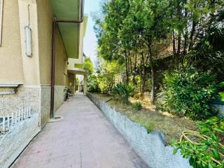 Quadrilocale via dei Gerani 17, Piani di Borghetto, Ospedale, Bordighera — foto 13 di 55