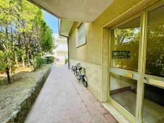 Quadrilocale via dei Gerani 17, Piani di Borghetto, Ospedale, Bordighera — foto 45 di 55