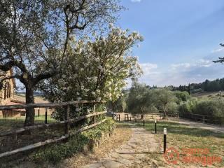 Stanza doppia Strada di Certosa 110, Siena