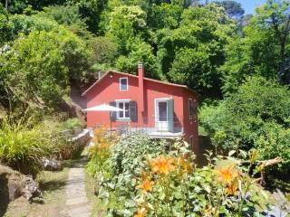Villa unifamiliare via dei Mulino 14, Portofino — foto 32 di 36