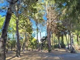 Appartamento in villa viale Ruggero Nodari, Vulcano Porto, Lipari — foto 11 di 20