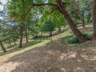 Villa unifamiliare Localita' Roncaglio Cadrazzole, Canossa — foto 30 di 60