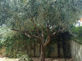 Monolocale via del Frumento 1, Trebbiantico, Pesaro — foto 5 di 8