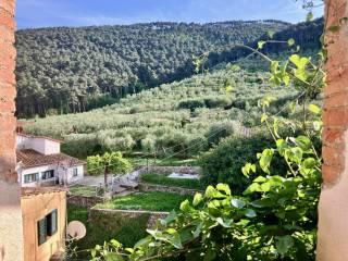 Trilocale via Panicale, Centro, Buti — foto 15 di 17