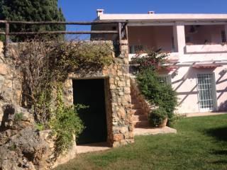 Villa bifamiliare via delle Azalee 11, Ansedonia, Orbetello — foto 13 di 27