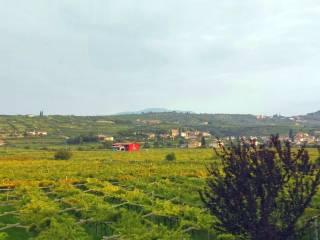 Trilocale via Giovanni Battista Pighi 6, Negrar, Negrar di Valpolicella — foto 16 di 20