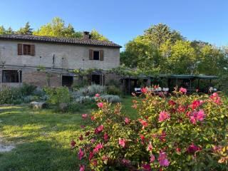 Stanza singola via Rancitella 15, Urbino — foto 2 di 4