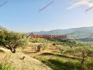 Villa unifamiliare Strada Provinciale Castelluzzese, Pettineo — foto 15 di 35