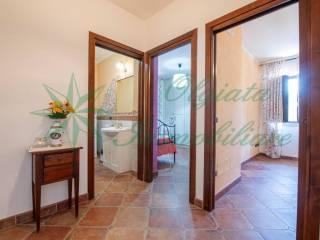Villa unifamiliare via Nepesina, Centro, Nepi — foto 56 di 73