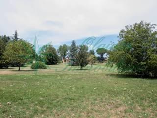 Villa unifamiliare via Nepesina, Centro, Nepi — foto 55 di 73