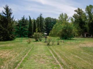 Villa unifamiliare via Nepesina, Centro, Nepi — foto 23 di 73