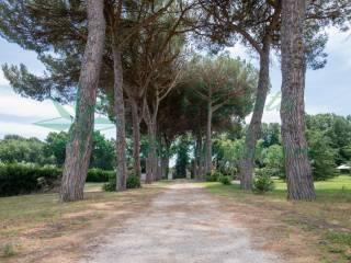 Villa unifamiliare via Nepesina, Centro, Nepi — foto 72 di 73